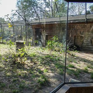 Jan. 2022 - Wild Florida - American Black Bear Exhibit - Right Side