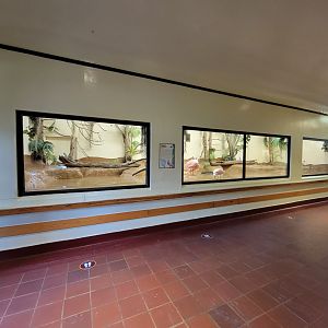 ZooAmerica - Roseate Spoonbills