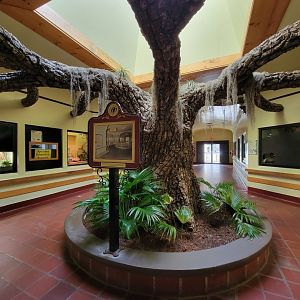 ZooAmerica - Where the alligator pit used to be