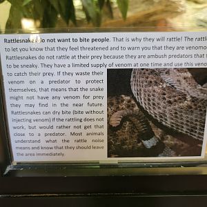 ZooAmerica - New laminated signs are up on some exhibits