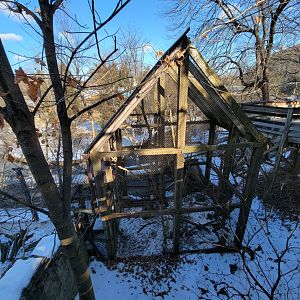 ZooAmerica - American marten from above