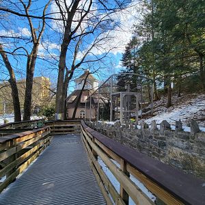 ZooAmerica - Path to thick-billed parrots, southwest building