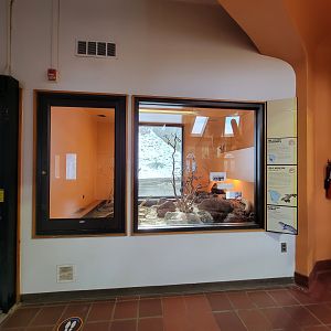 ZooAmerica - Gila monster exhibit