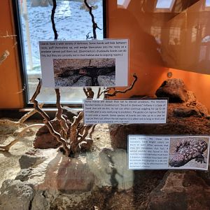 ZooAmerica - New signs on gila monster window