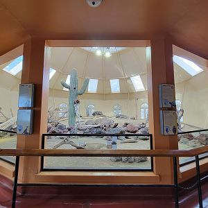 ZooAmerica - Southwest building