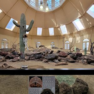 ZooAmerica - Now with a skeleton