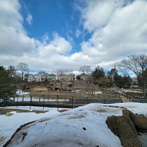 ZooAmerica - View of entire pronghorn exhibit