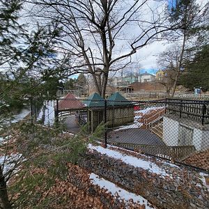 ZooAmerica - Paths, long-eared owl exhibit