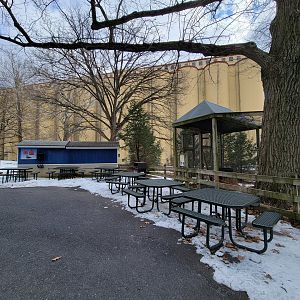 ZooAmerica - Extra food stand, common raven
