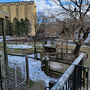 ZooAmerica - Turkey vulture exhibit in pronghorn yard