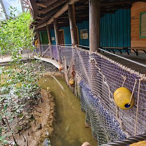 Fence decoration in the Mangrove dome