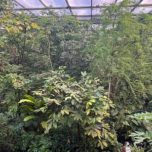 A look in burgers bush