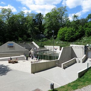 Harbor Seal exhibit (2014)