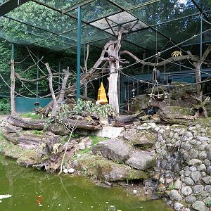 Old monkey cage (2014)