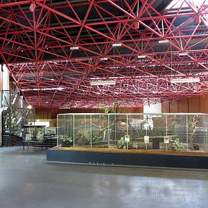 Africa House indoor - bird cages with amazones (2014)