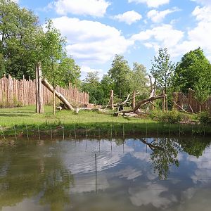 Gorilla Enclosure (2014)