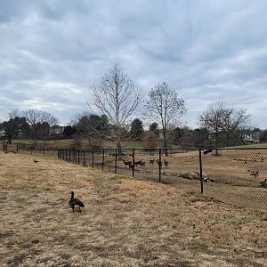 Roer's Zoofari - Before entrance