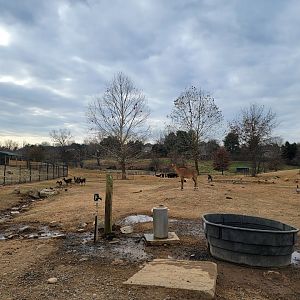 Roer's Zoofari - Inside drive-through entrance