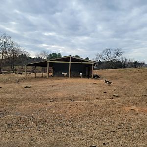 Roer's Zoofari - Main shelter