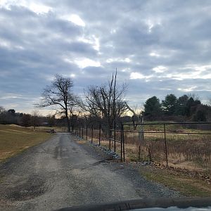 Roer's Zoofari - Unused area