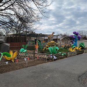 Roer's Zoofari - Newly built area, with luminoCity lights