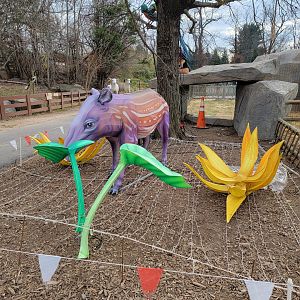 Roer's Zoofari - LuminoCity lights, end of new African Civet exhibit