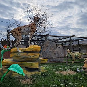 Roer's Zoofari - Back of new lemur exhibit, LuminoCity lights