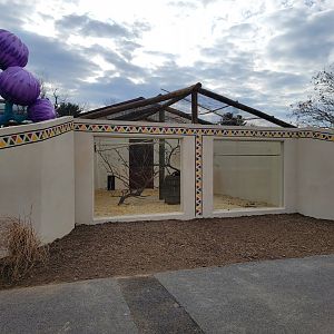 Roer's Zoofari - New silvery-cheeked hornbill exhibit