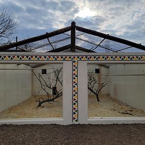 Roer's Zoofari - New silvery-cheeked hornbill exhibit