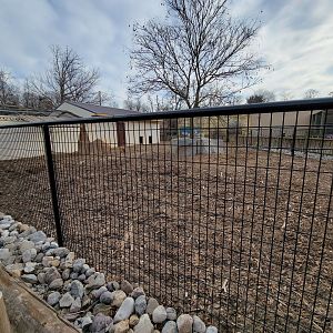 Roer's Zoofari - New red river hog exhibit