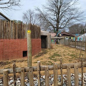 Roer's Zoofari - New African civet exhibit