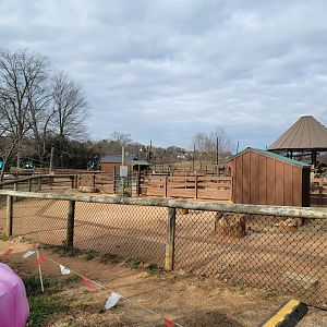 Roer's Zoofari - Goat and sheep yards