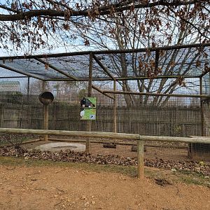 Roer's Zoofari - Signed as greater curassow, sacred ibis