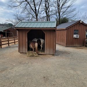 Roer's Zoofari - Ponies