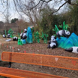 Roer's Zoofari - LuminoCity Festival panda lights