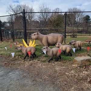 Roer's Zoofari - LuminoCity capybara family