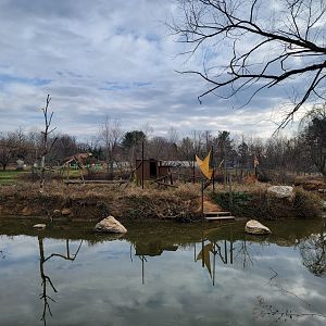 Roer's Zoofari - Lemur island (summer)