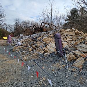 Roer's Zoofari - LuminoCity Festival spiders