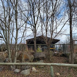 Roer's Zoofari - Burned out giraffe barn