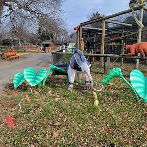 Roer's Zoofari - LuminoCity Festival anteater, lemurs