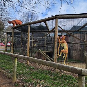 Roer's Zoofari - Monkeys