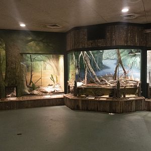 Jan. 2022 - Wild Florida - Reptiles of Florida - General View