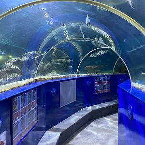 Underwater tunnel 240122