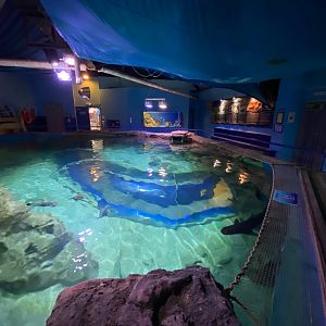 Ocean tank from above 240122