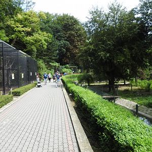 Path between row of bird cages and pool for warerfowls