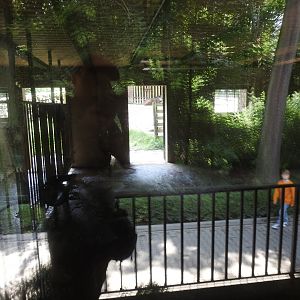 indoors of tapir house