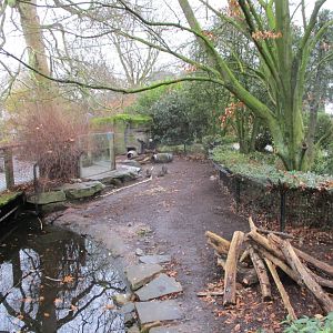Coypu enclosure (02/02/2022)