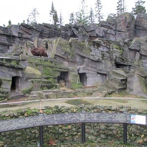 Takin exhibit (02/02/2022)