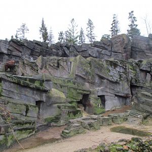 Takin exhibit (02/02/2022)