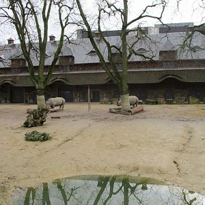 White rhino enclosure (02/02/2022)